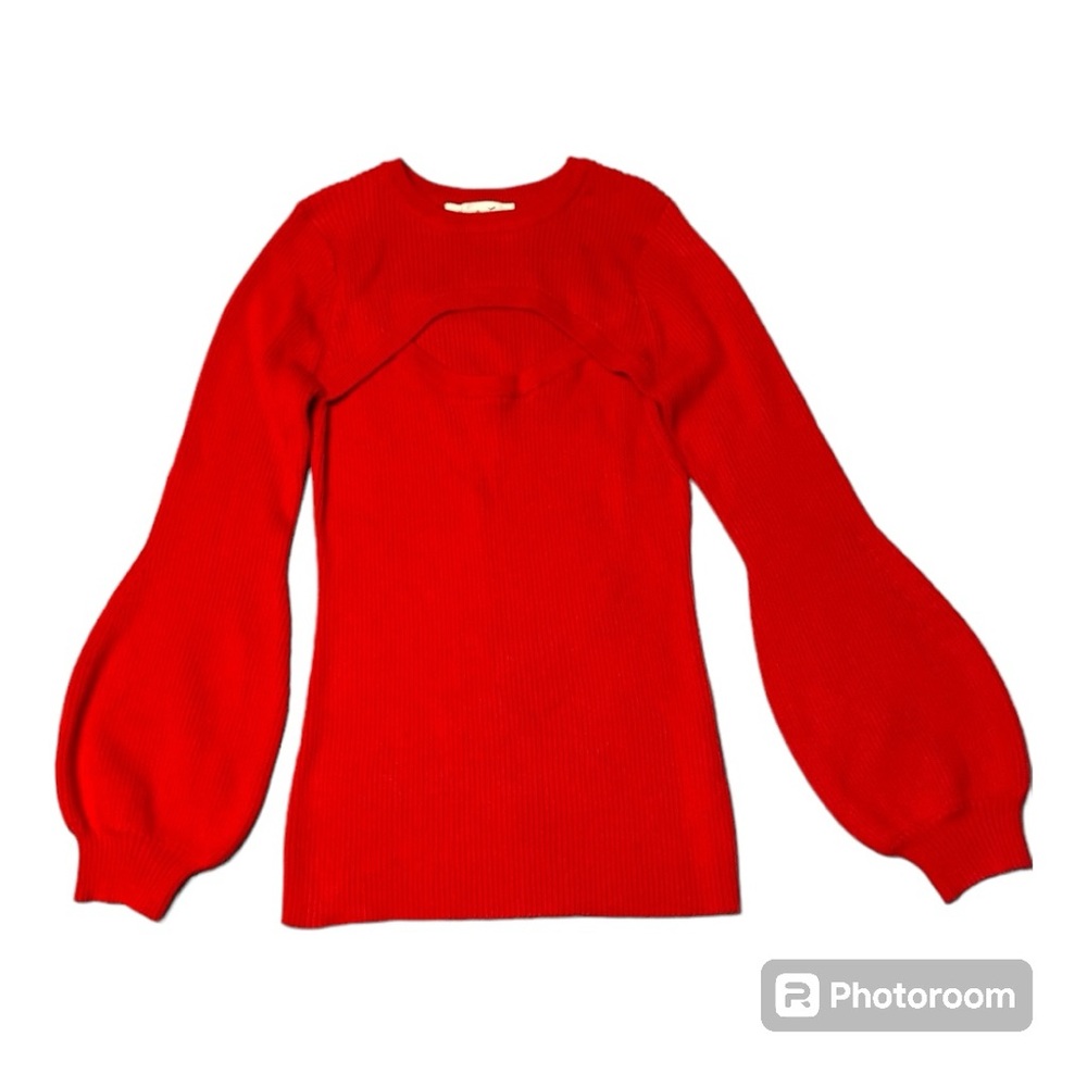 Vine & Love Red Sweater